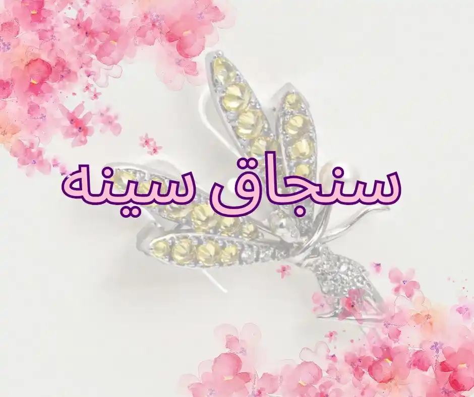 سنجاق سینه زنانه و دخترانه - انواع سنجاق سینه زنانه و دخترانه